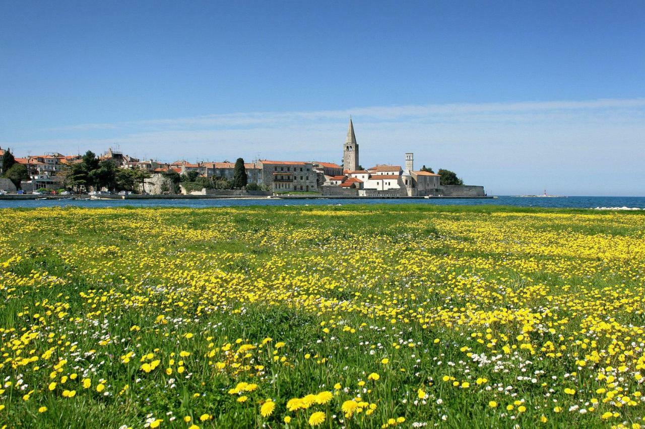 Apartment Kika Poreč Zewnętrze zdjęcie